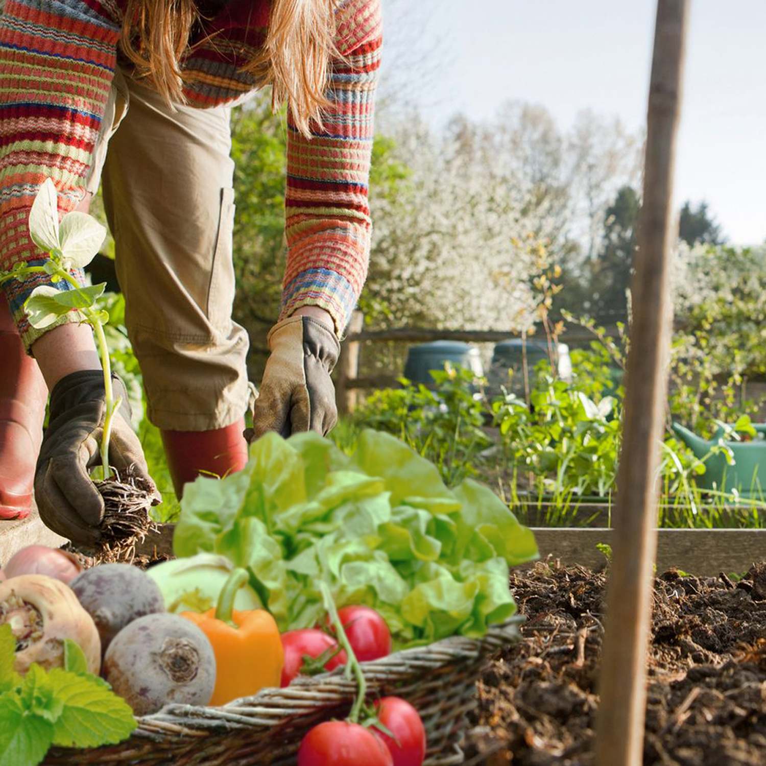 ParkerBrand: Some of the Best Machines for Your Allotment